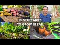 15 Vegetables YOU MUST Grow in FALL or AUTUMN