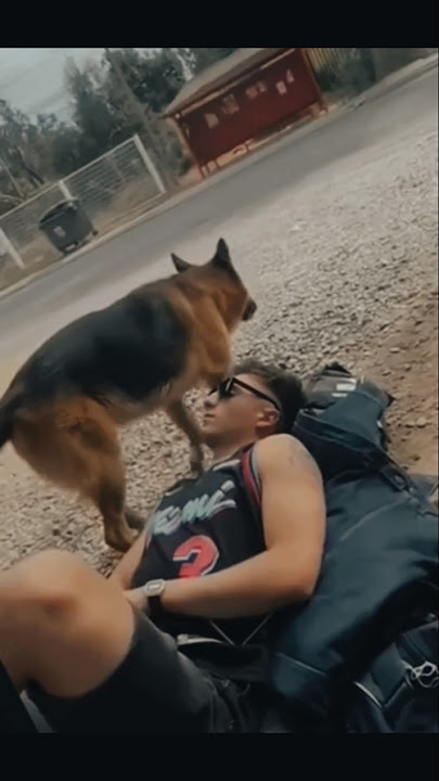 While Lying Down, a Dog Peed on Me! 😂#SoUnlucky