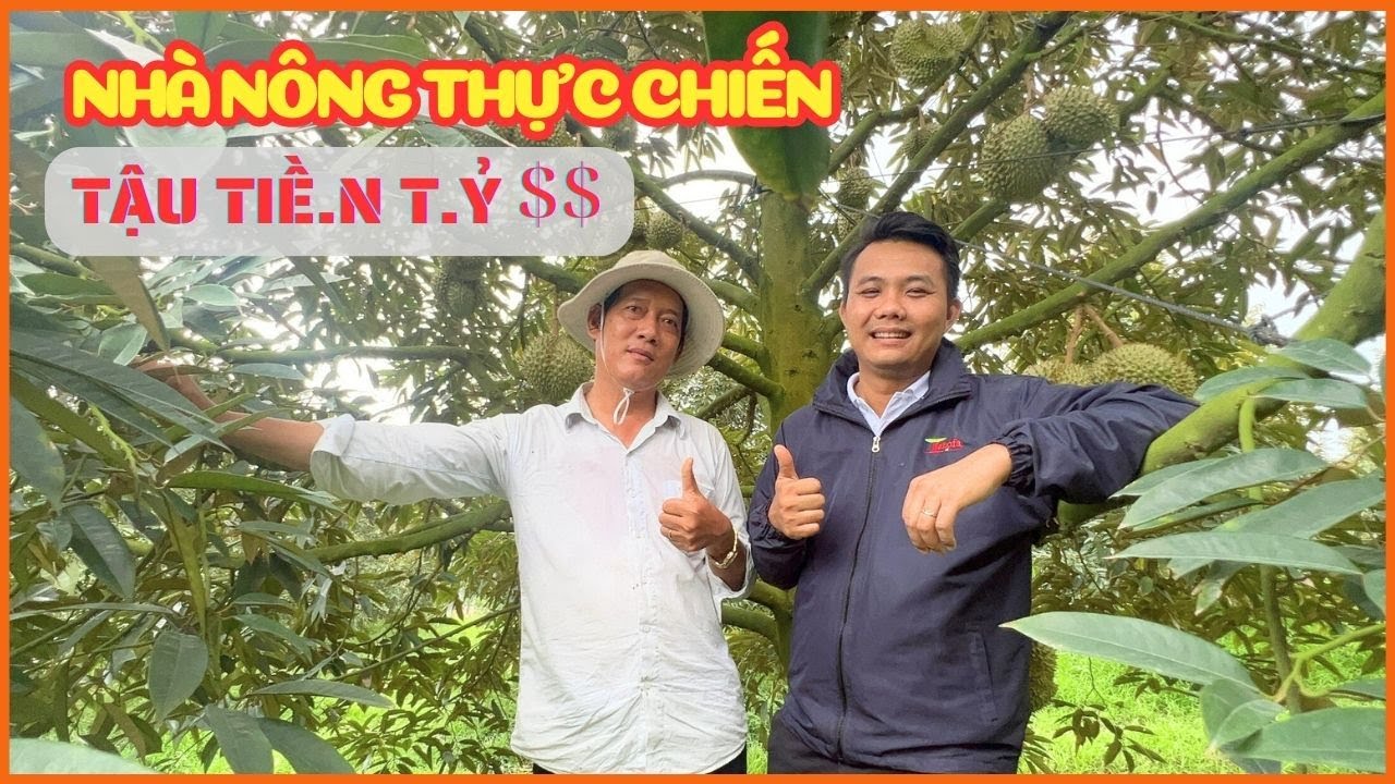 NHÀ NÔNG THỰC CHIẾN - TẬU TIỀ.N T.Ỷ $$