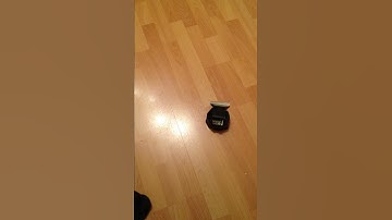 Roaming Robots - Ant Weight Ripper