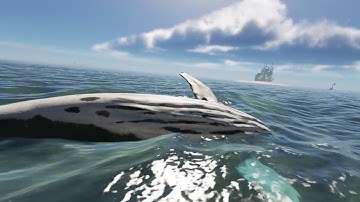 Stranded Deep whale attack