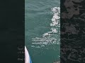 22 KTS Headwind test on Solar