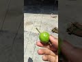 wow 😮😳 #entertainment #shortvideo #timepass #comedyshorts