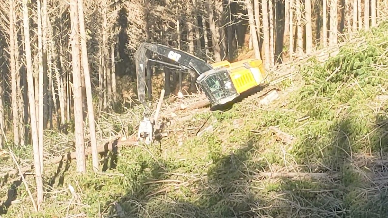 NZ Logging Crew CAT 552  mechanized tree falling on EMS tractionline.  nz forestry