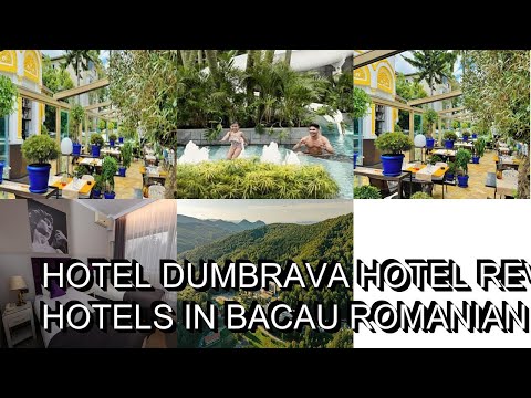 Hotel Dumbrava hotel