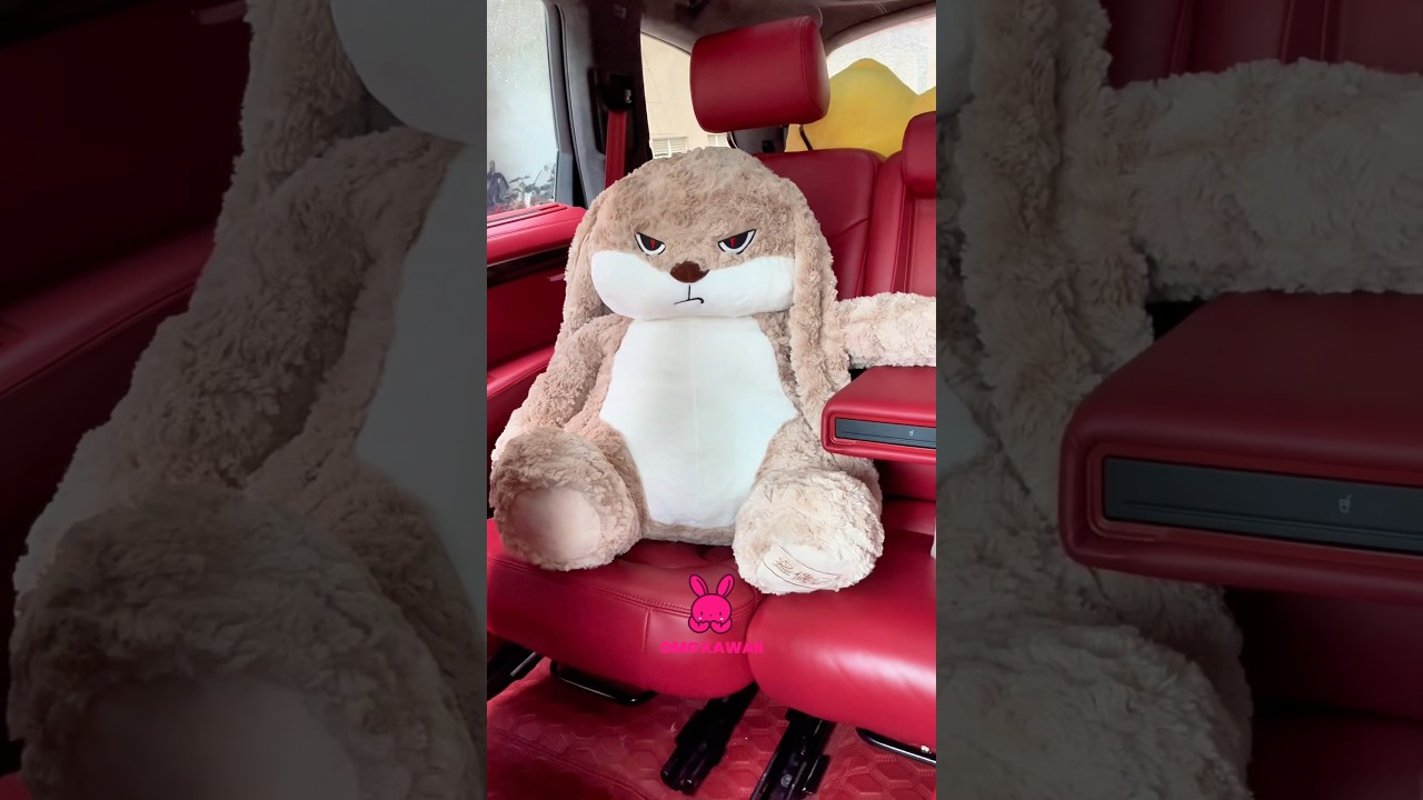 Why So Serious, Bunny? Exploring the Depth Behind Those Enigmatic Eyes ...