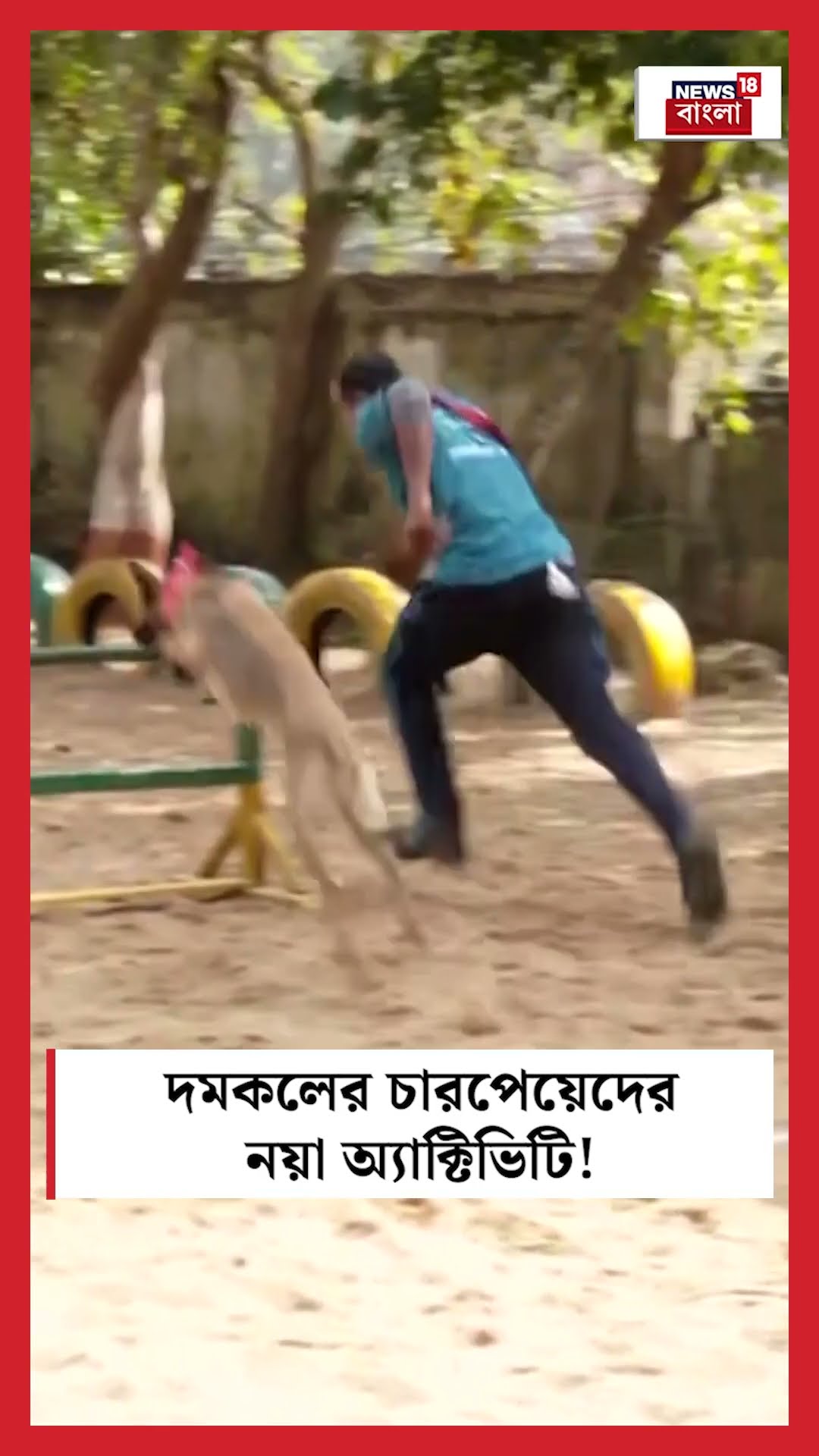 Fire Brigade এর Canine দের নয়া অ্যাক্টিভিটি! । N18S । #shorts