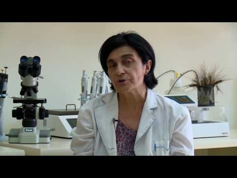 ცოდნისა და გამოცდილების გაზიარება ხორბლის კულტურის მოვლა-მოყვანაში(ფილმიVI)