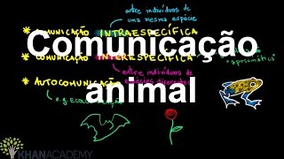 Comunicação Animal Biologia Comportamental Biologia Khan Academy
