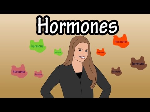 Hormones - What Are Hormones - Functions Of Hormones - Types Of Hormones