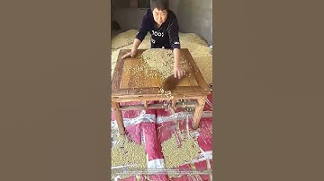 How To Screen Soybean Seeds Relatively Efficiently Without Using Machine Tool !