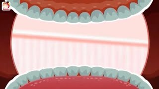 Inside a Lion’s Mouth (MFACTGM)