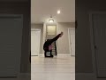 absolute control 👌🏻 #flexibility #gymnastics #contortion #heels #talent