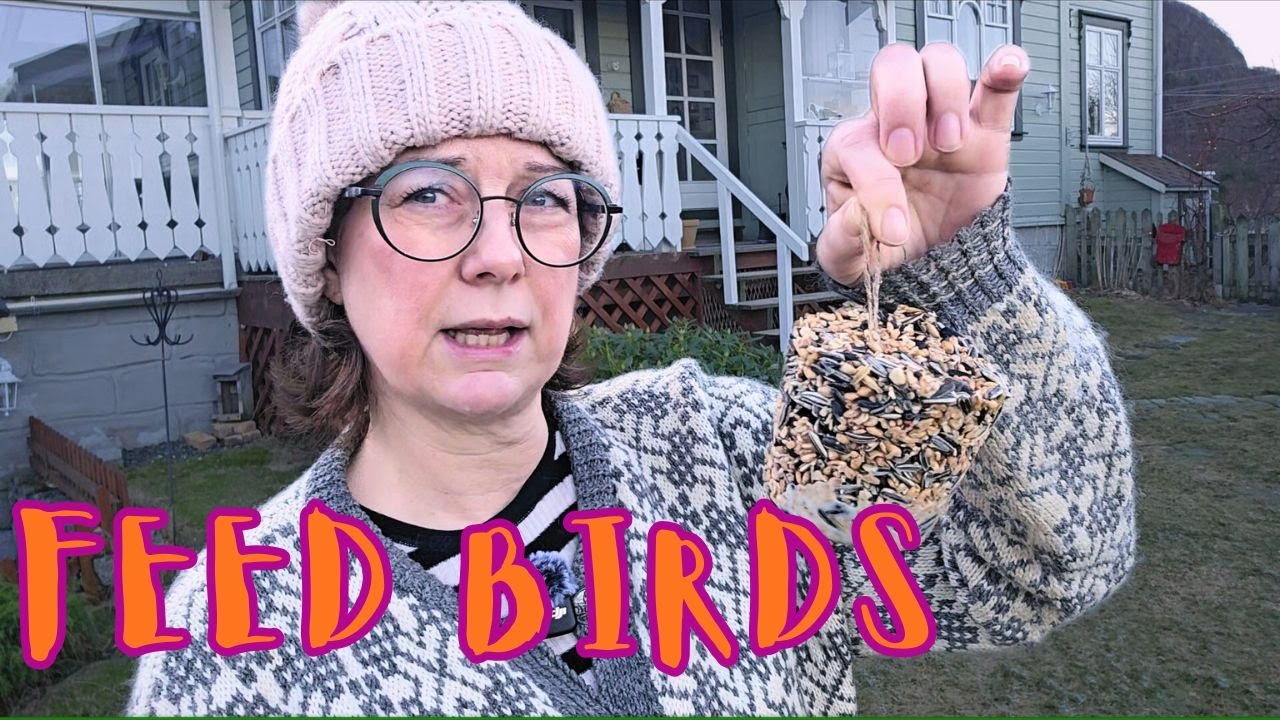 Операция на колене, прогулка по саду и мой рецепт лучшего корма для птиц.