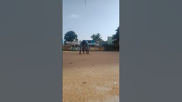 Day 15: Push up Challenge #shorts #shortsfeed