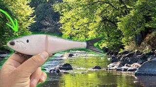 Glide Bait Fishing For River Monsters!