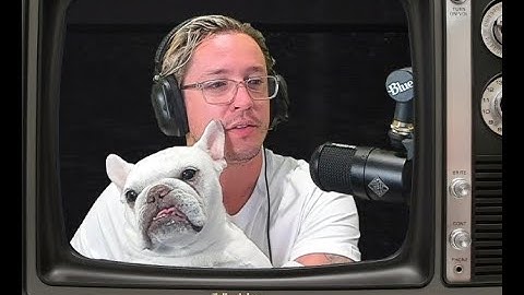 Telle Smith of The Word Alive reactions #19 Chief, Beyond Unbroken, Everrest, Moving Mountains, more