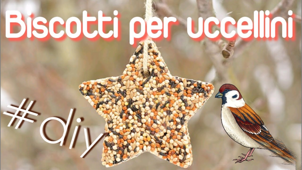 BISCOTTI PER UCCELLINI FAI DA TE - mangime per uccellini ricetta - diy  birds food recipe 