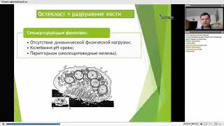 Антилевский В. Алгоритм реабилитации опорно двигательного аппарата. Системный подход