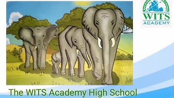 Class Five English Unit 2 Elephant video 3 week 3 | Online Class