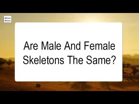 Are Male And Female Skeletons The Same