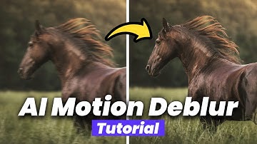 AI Motion Deblur: Sharpen Animal Action Photos in Seconds | HitPaw FotorPea Tutorial