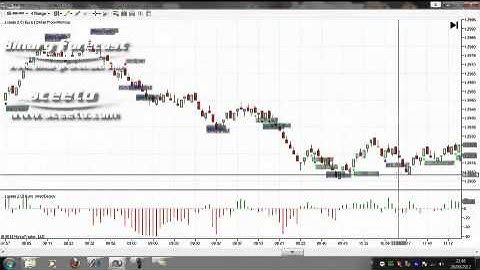 Tutorial Ninja Trader Strategy That Works  - Daily report 24th Sept 2012 Euro USD 6E Futures