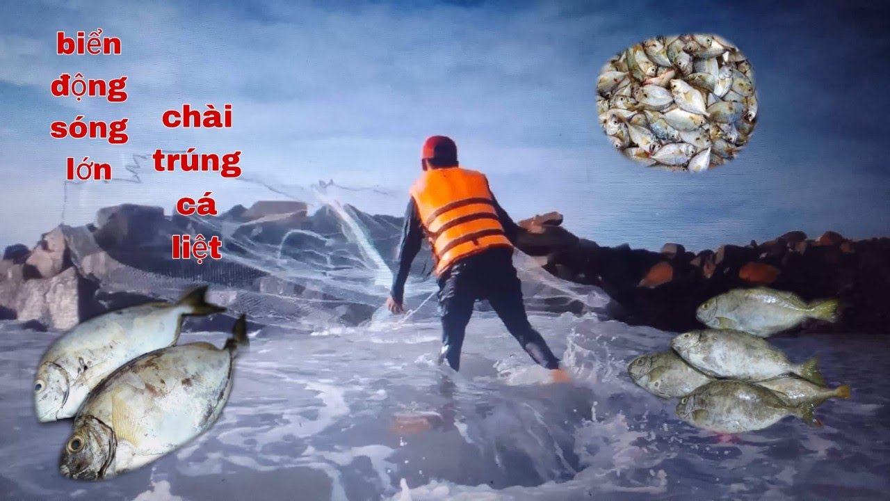 Đi Chài Cá Ở Địa Điểm Mới Mũi Đá Dăm , Kê Gà | Lĩnh Dân Biển