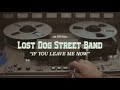 Lost dog street band  if you leave me now official music
