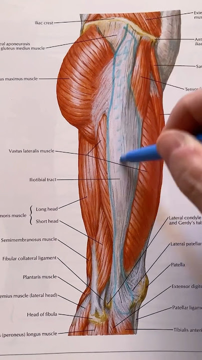 Exercises for IT Band Syndrome