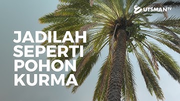 Kajian Islam - Jadilah Seperti Pohon Kurma - Ustadz Zaid Susanto, Lc.