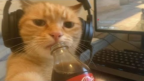 🔴| Live Stack Ball 3D Highest ScoreChallenges #shorts #stackball #stackball3d #stackballgame #viral