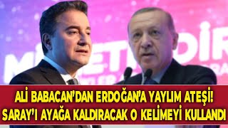 Ali Babacan’dan Erdoğan’a yaylım ateşi! Saray’ı ayağa kaldıracak o kelimeyi kullandı