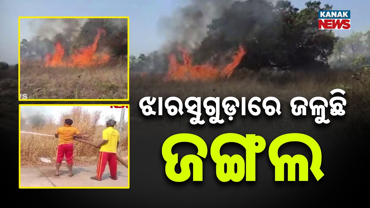 Massive Forest Fire Near Jharsuguda Airport
