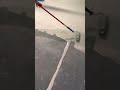 How to apply paint to the floor? #how #applying #apply #paint #painting #roller #floor #workprocess