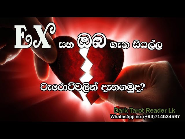 EX සහ ඔබ ගැන සියල්ල ටැරොට්වලින් බලමුද?|Sinhala|#tarotreading #tarotcards #astrology class=