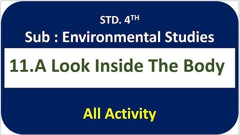 A Look Inside The Body - Lesson No. 11 - Sub. : Environmental studies - Std. 4th. All Activity