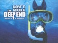 Govt mule  banks of the deep end  the deep end vol 1