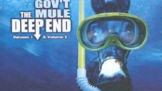 Video thumbnail of "Gov't Mule - Banks Of The Deep End - The Deep End Vol. 1"