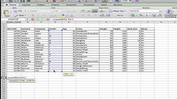 Excel CountIF