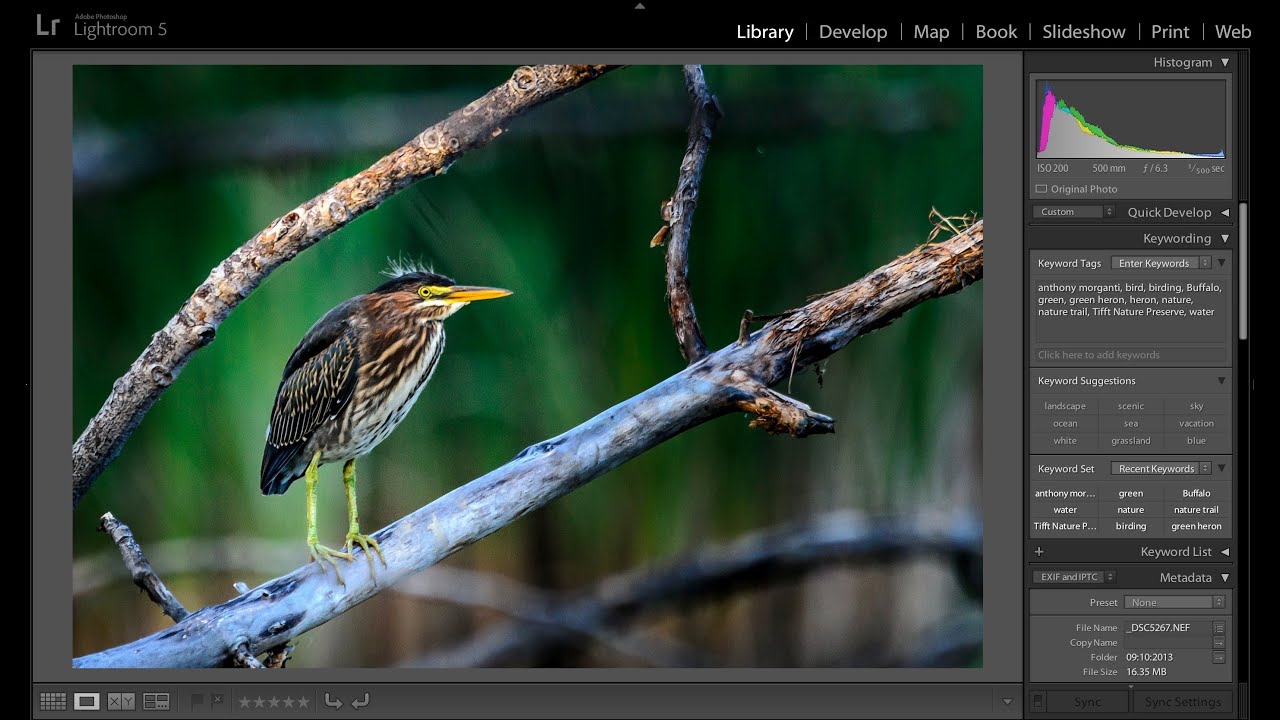adobe photoshop lightroom software download Learn Lightroom 5 - Part 12: Loading Images Into Lightroom (Training Tutorial)