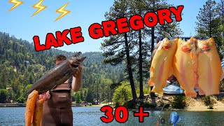 LAKE GREGORY CALAVERAS STOCK |FIRST LIGHTNING TROUT|