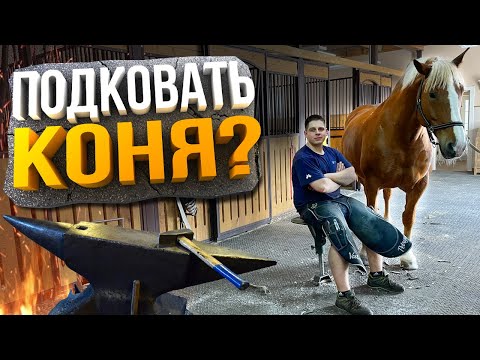 СКОЛЬКО ЗАРАБАТЫВАЕТ КОВАЛЬ?