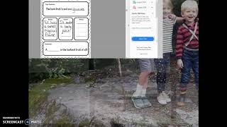 Opinion Writing - Graphic Organizers