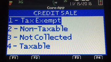 Ingenico iWL250 Video Tutorial