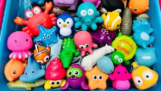 Learn Sea Animal Names | Sea Animals for Kids | Sea Creatures for Kids | Sea Animal Toys | Aquatic