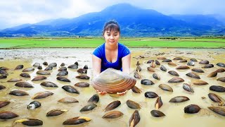 Harvesting A Lot Of Mussels In The Mud Goes To Market Sell - Farm life | Phuong Daily Harvesting