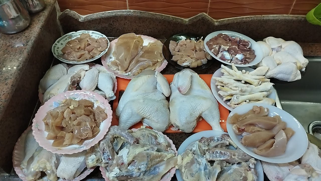 يوم الخير💯نهايه دوره الفراخ البيضه واوزان👍تربيه بيتي بدون ادويه بيطريه من غير تعقيد