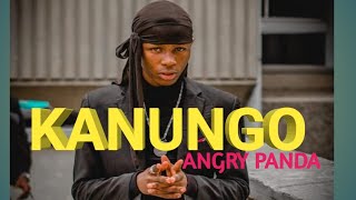 KANUNGO - ANGRYPANDA CLAN | DANCE VIDEO | KIDBOYSTEPPER