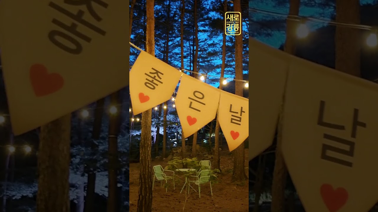 예쁜 사진 찍기 좋은 곳! 강릉솔향수목원 야간개장